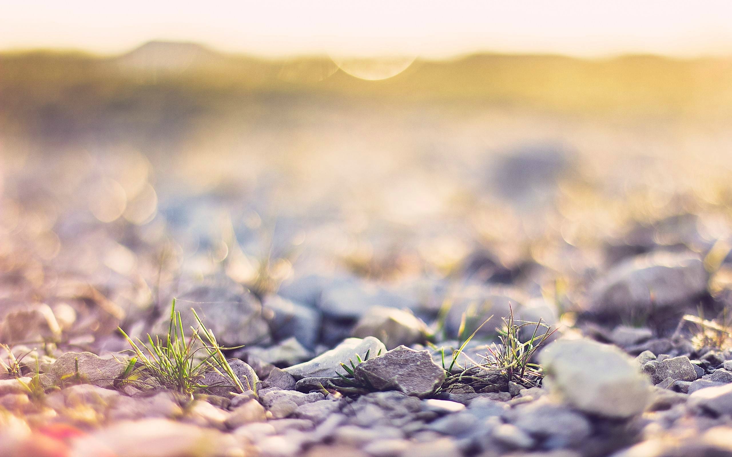 1920 x 1080 HD Wallpapers 193